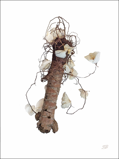 Yuka05fleur_def_petit